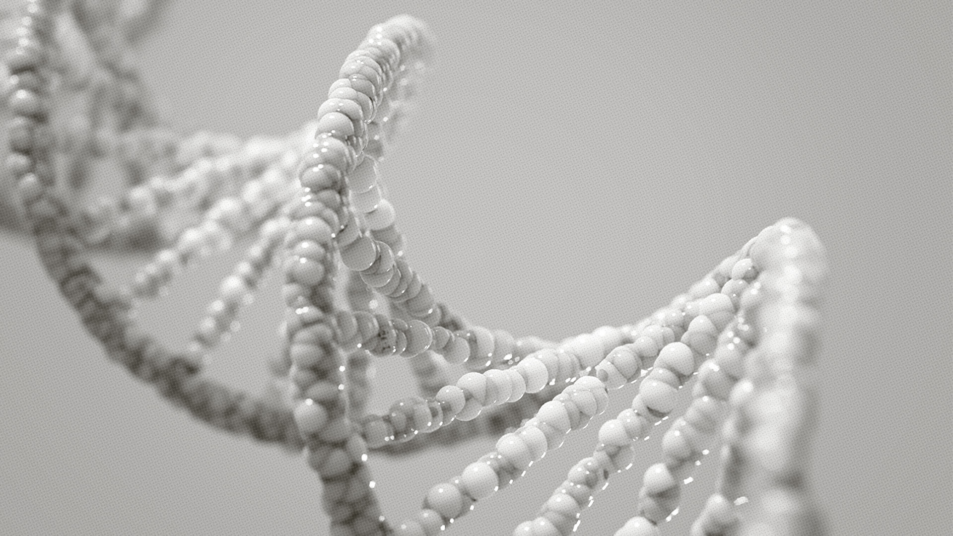 Ethics Of Genetic Engineering In Humans